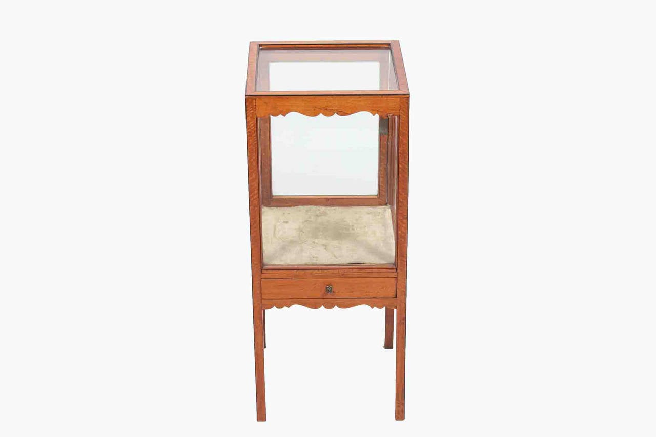 Neoclassical Revival 19th Century Satinwood Display Case For Sale