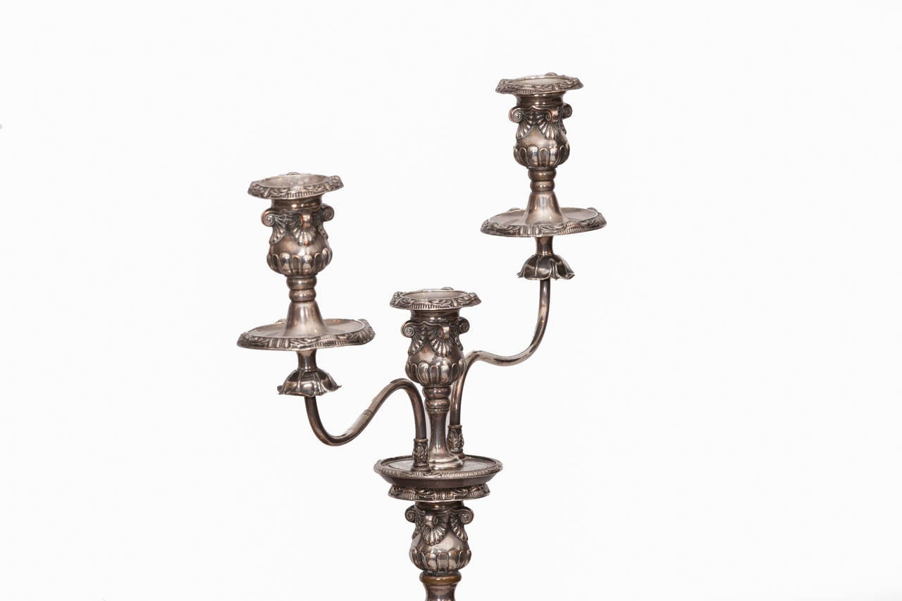 19th Century George III Sheffield Plate pair of candelabra holding three candles each.