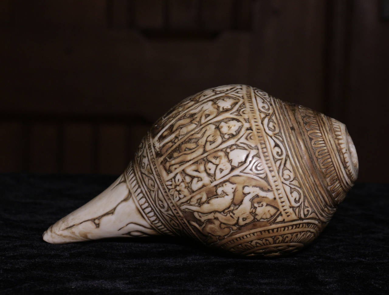 Indian 11th Century Carved Conch Shell For Sale
