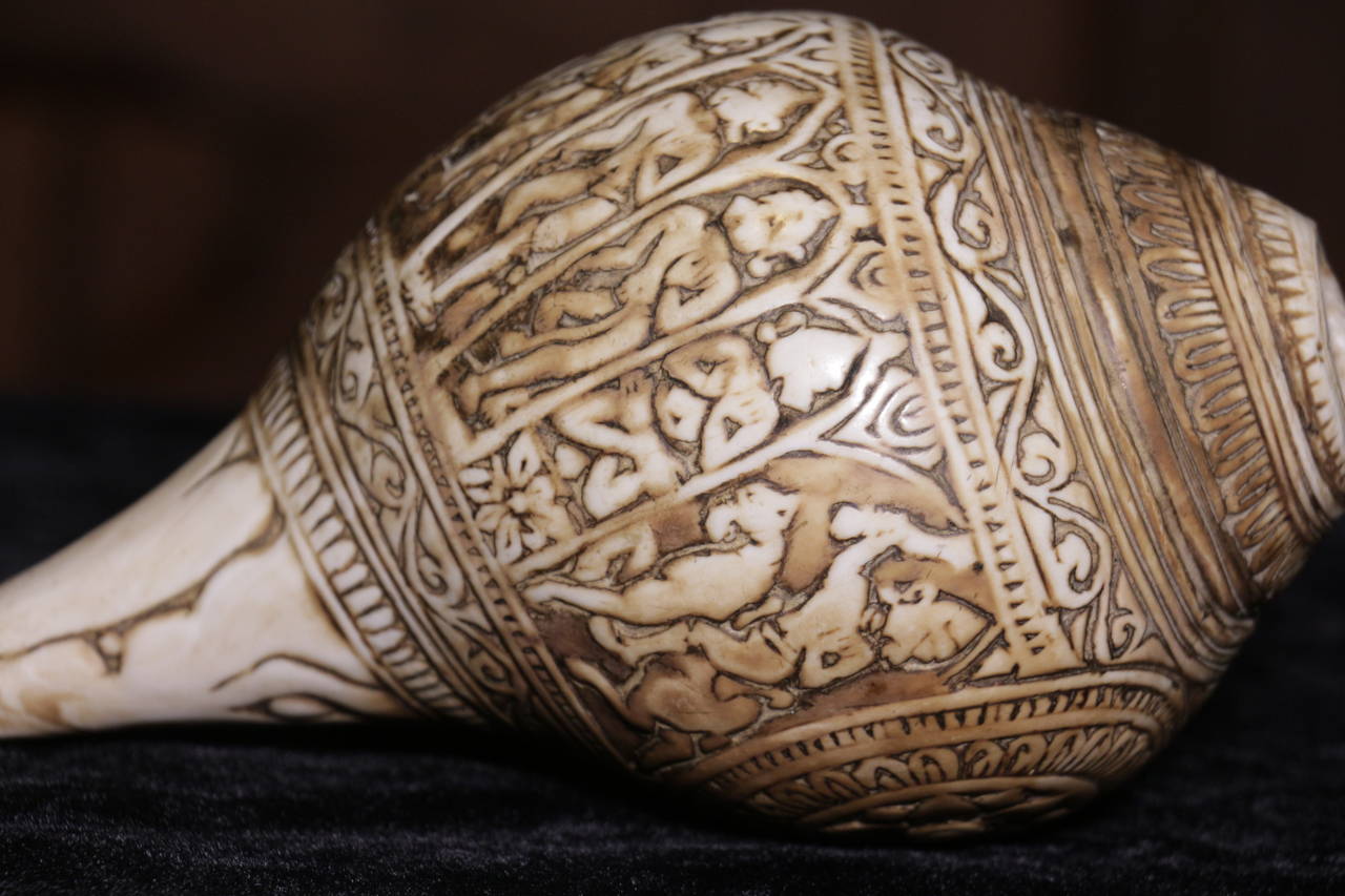 11th Century Carved Conch Shell In Good Condition For Sale In Hudson, NY
