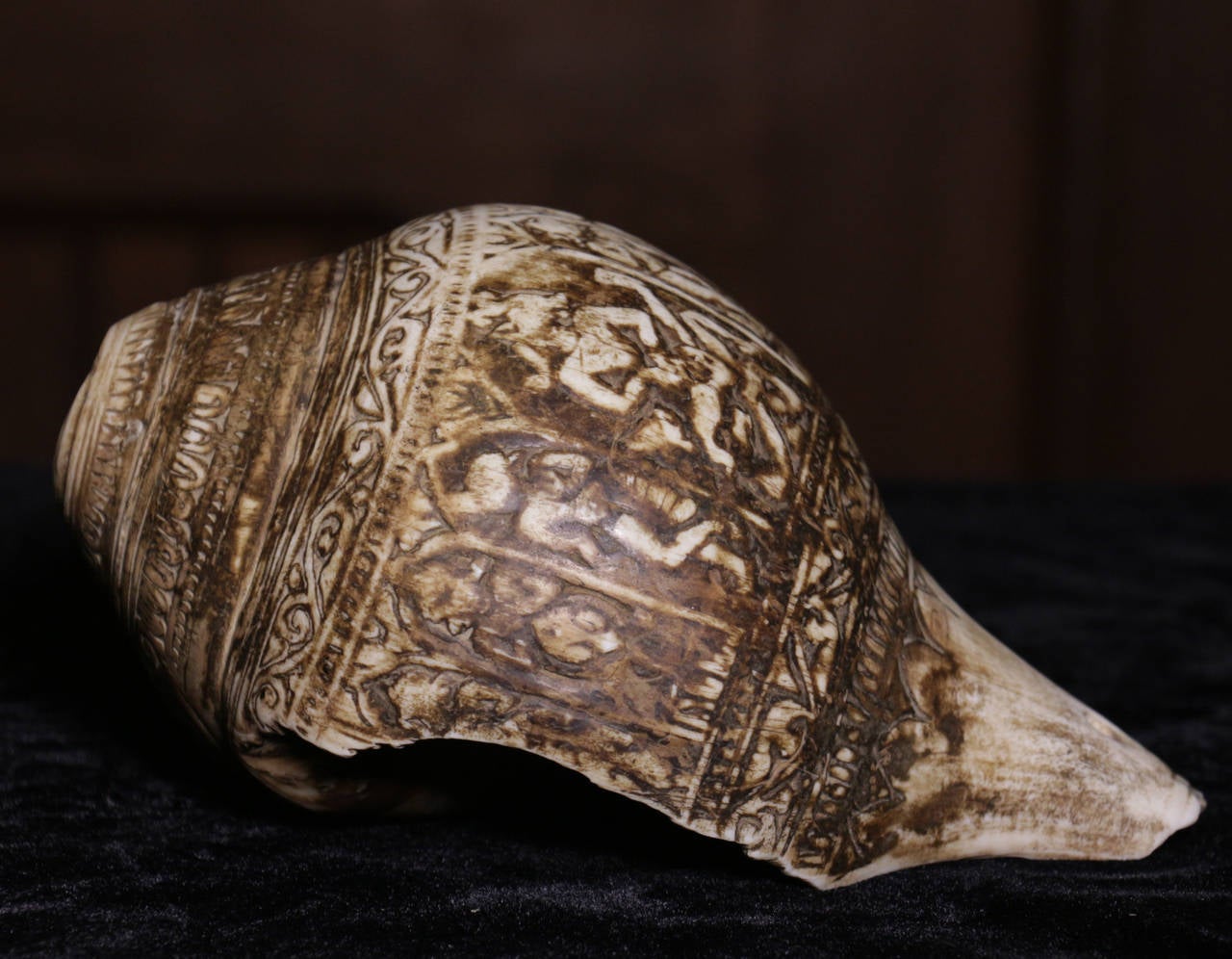 11th Century Carved Conch Shell For Sale 1