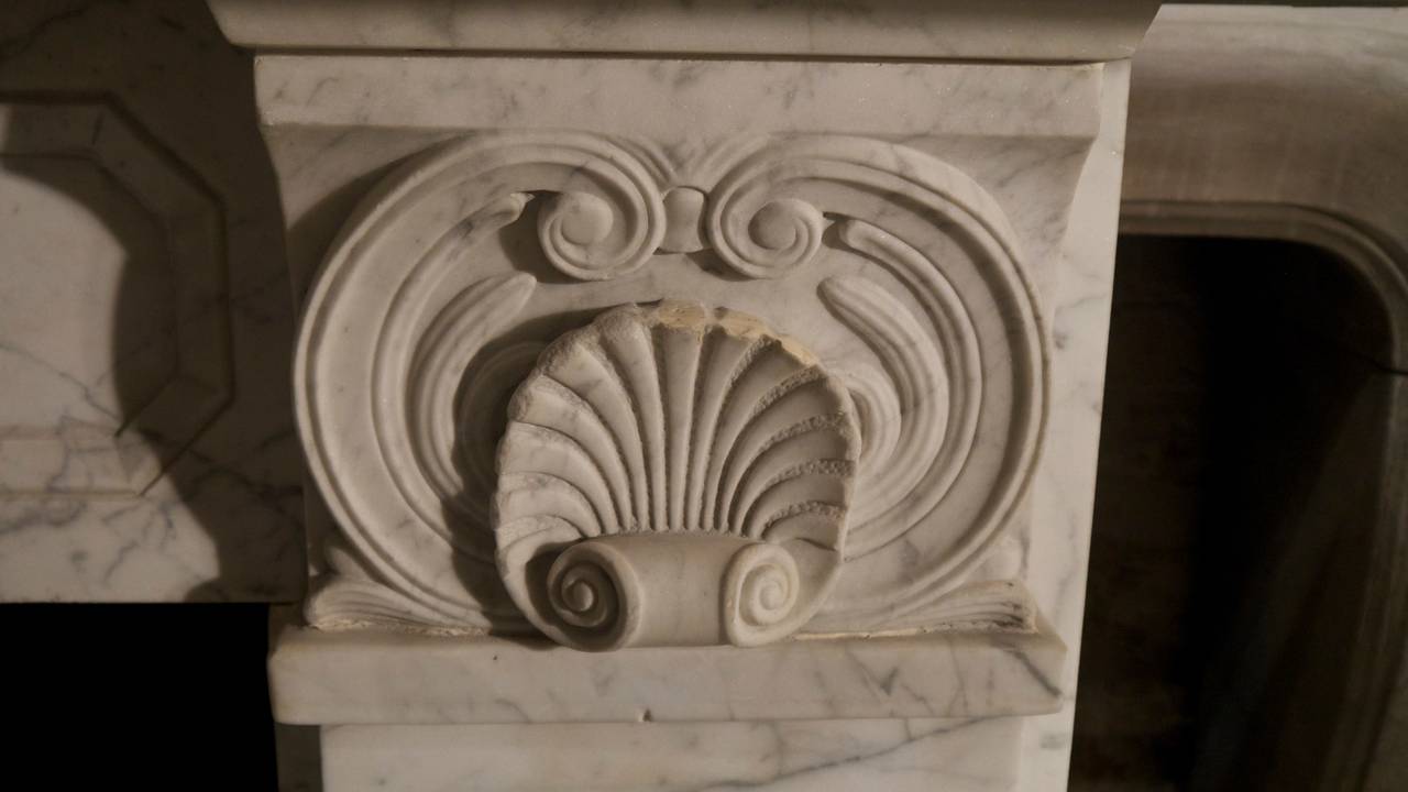 Original pencil veined William IV marble surround with beautifully carved shells on the corner blocks.