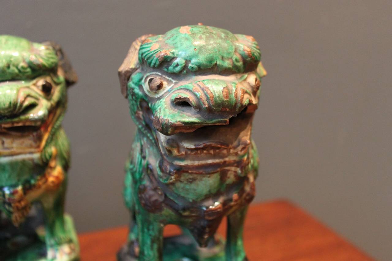 Chinese Collection of Six (6) Green Glazed Terra Cotta Foo Dogs, China