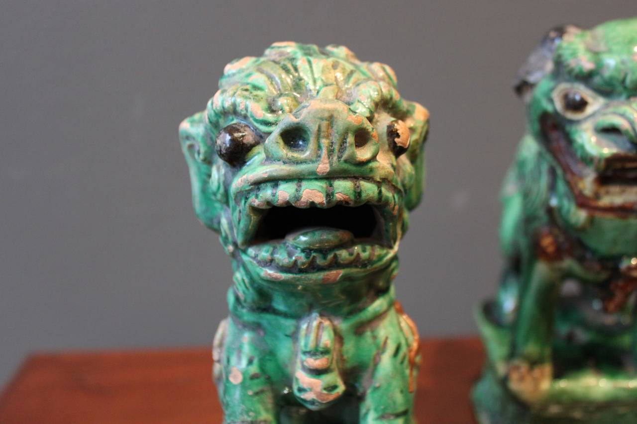 Collection of Six (6) Green Glazed Terra Cotta Foo Dogs, China In Good Condition In San Antonio, TX