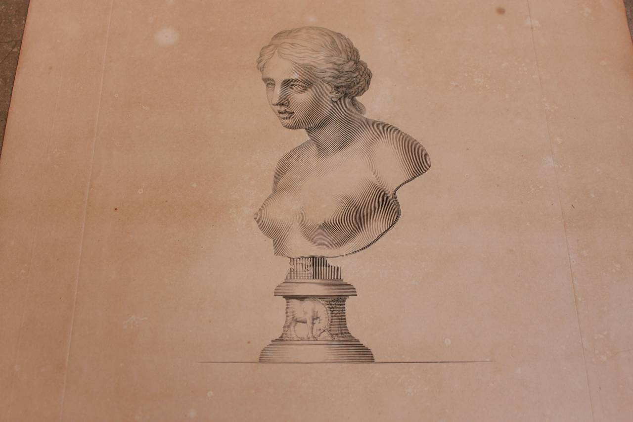 18th Century and Earlier 17th Century Copperplate Engravings of Roman Busts and Statutes, France, 1673