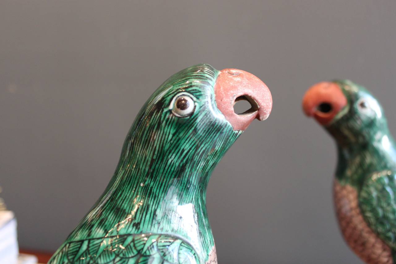20th Century Pair of Polychrome Chinese Famille Verte Parrots