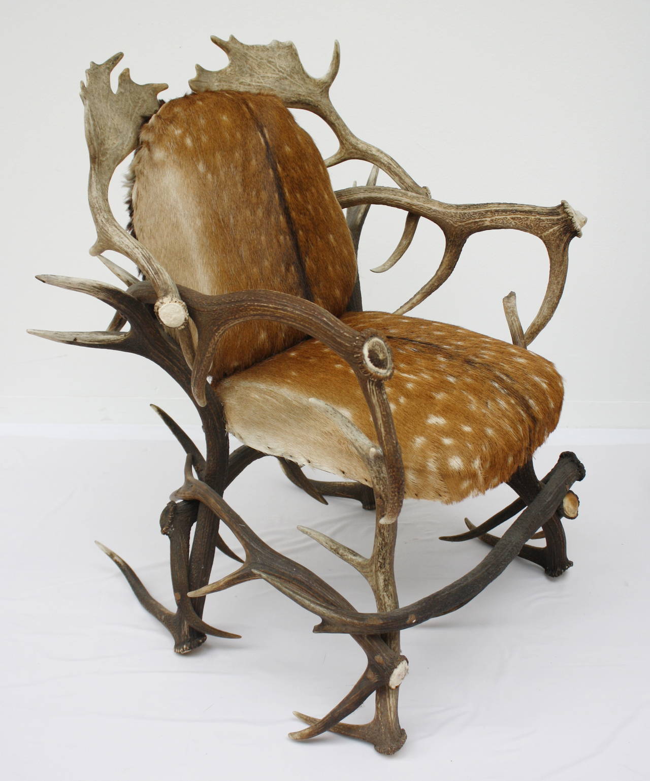 deer antler chair