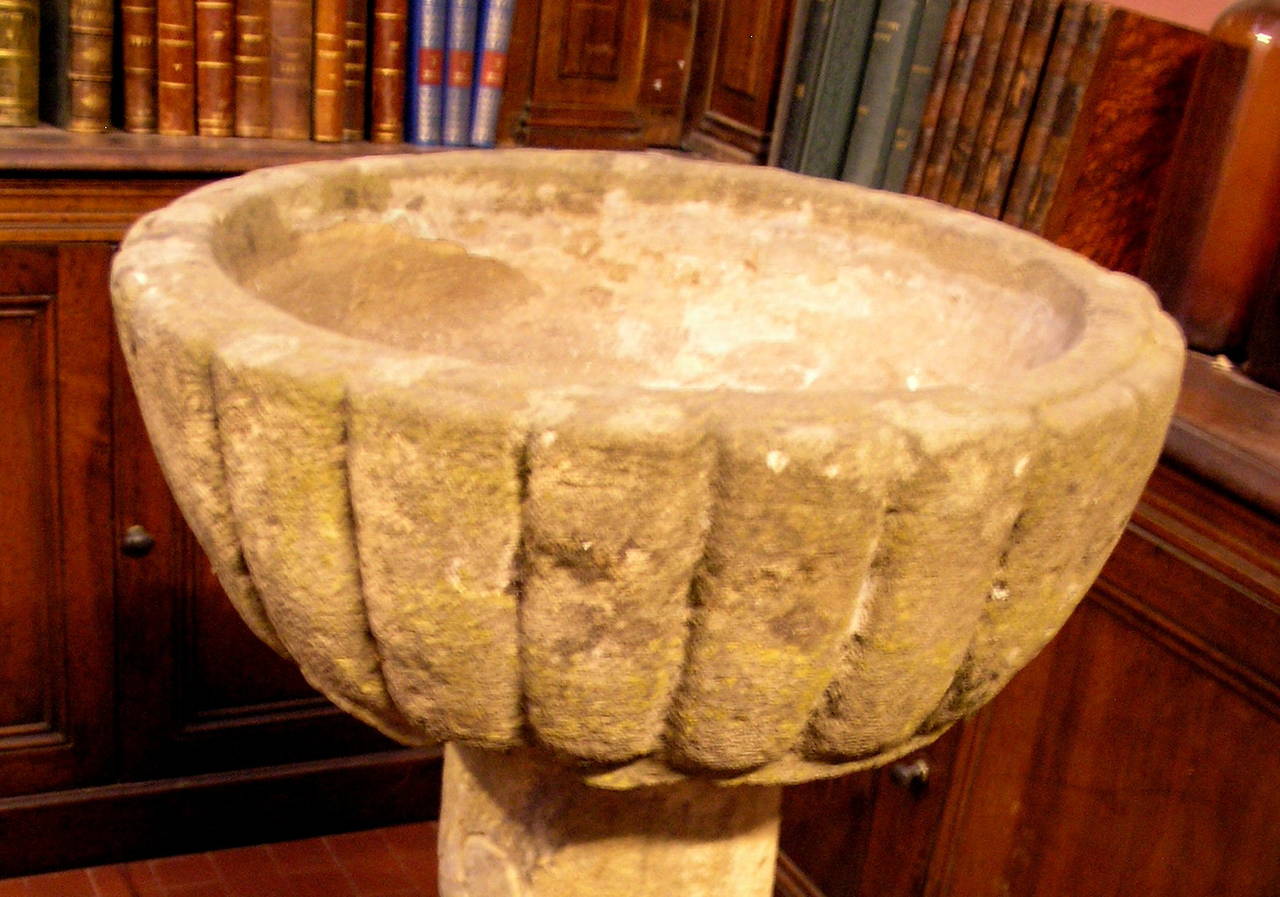 Antique Batism font made of Arenaria's stone.
The pedestal isn't original (was restored in 1960).
Comes from Florence, Italy.