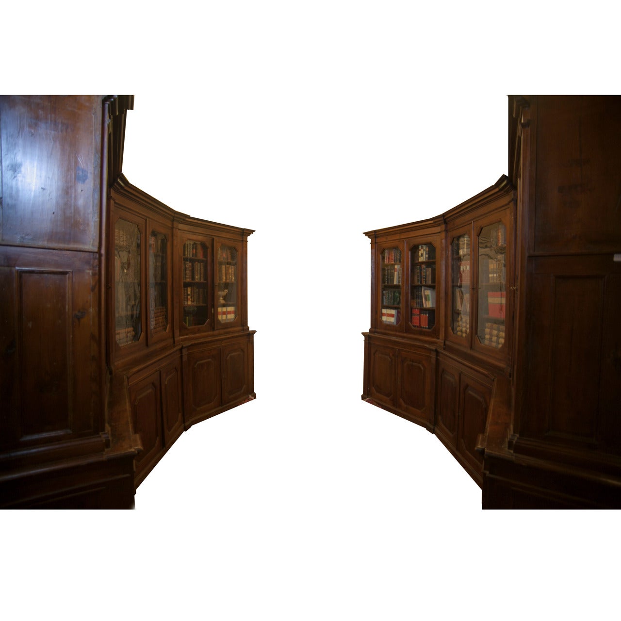 Antique Pharmacy Library