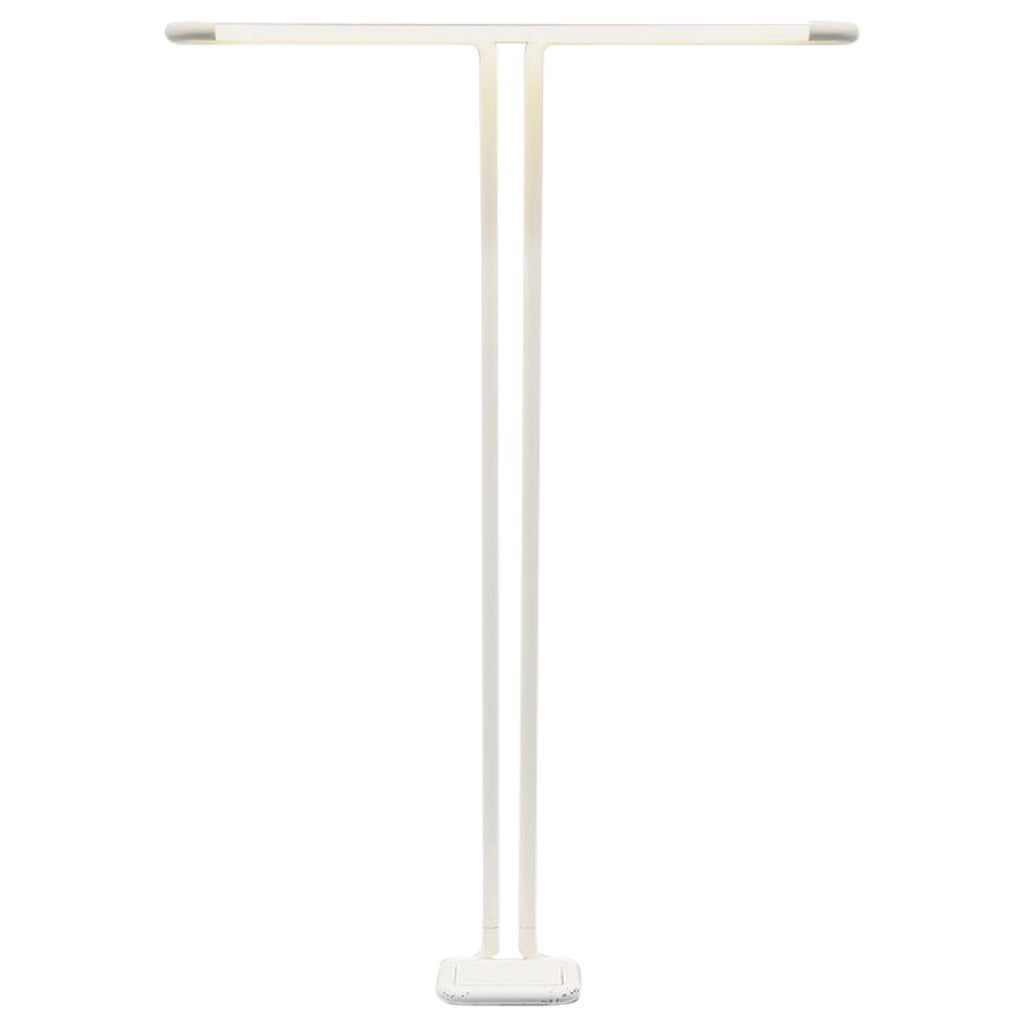 Aldo van den Nieuwelaar TC1 Floor Lamp, Domani Designs, 1969 For Sale