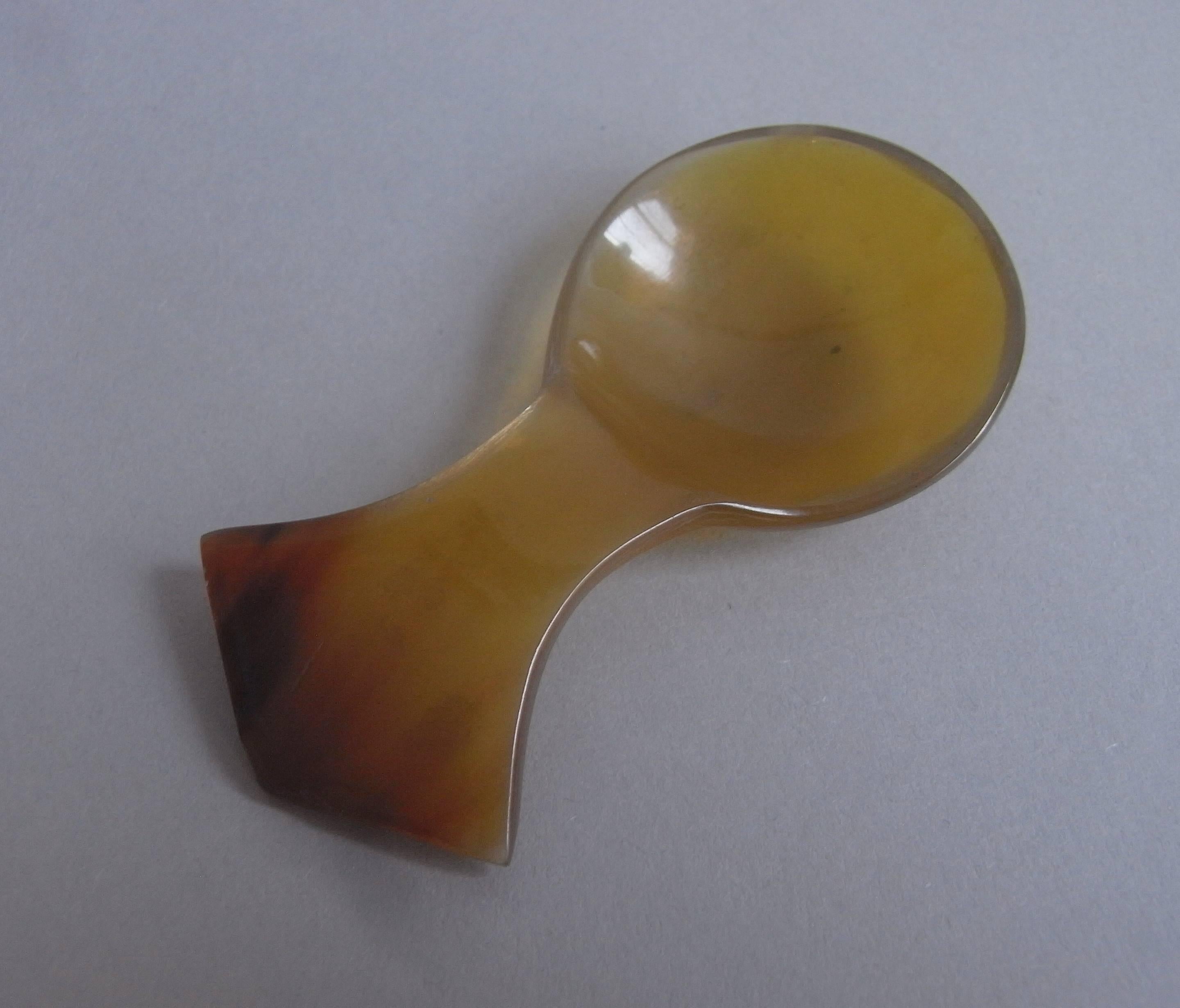 A rare Horn Caddy Spoon, probably Scottish circa 1840.