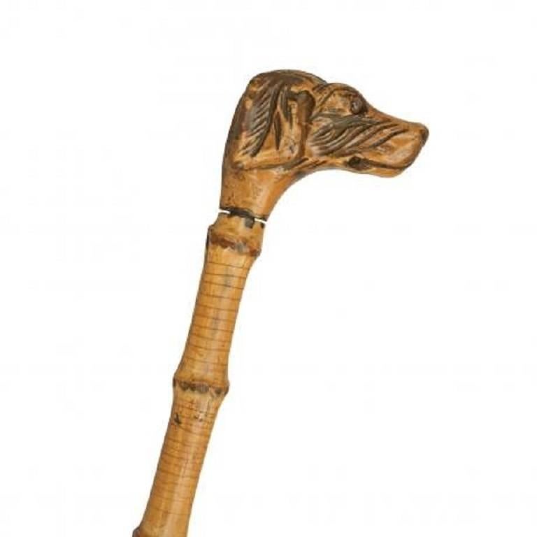 A Victorian walking stick made of bamboo with a well carved head of a dog, hound with glass eyes,
circa 1900.