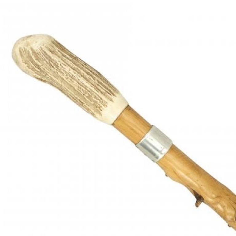 Gentleman's Walking Stick at 1stdibs