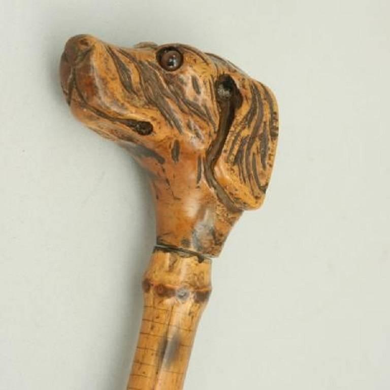 Antique Walking Stick In Good Condition In Oxfordshire, GB