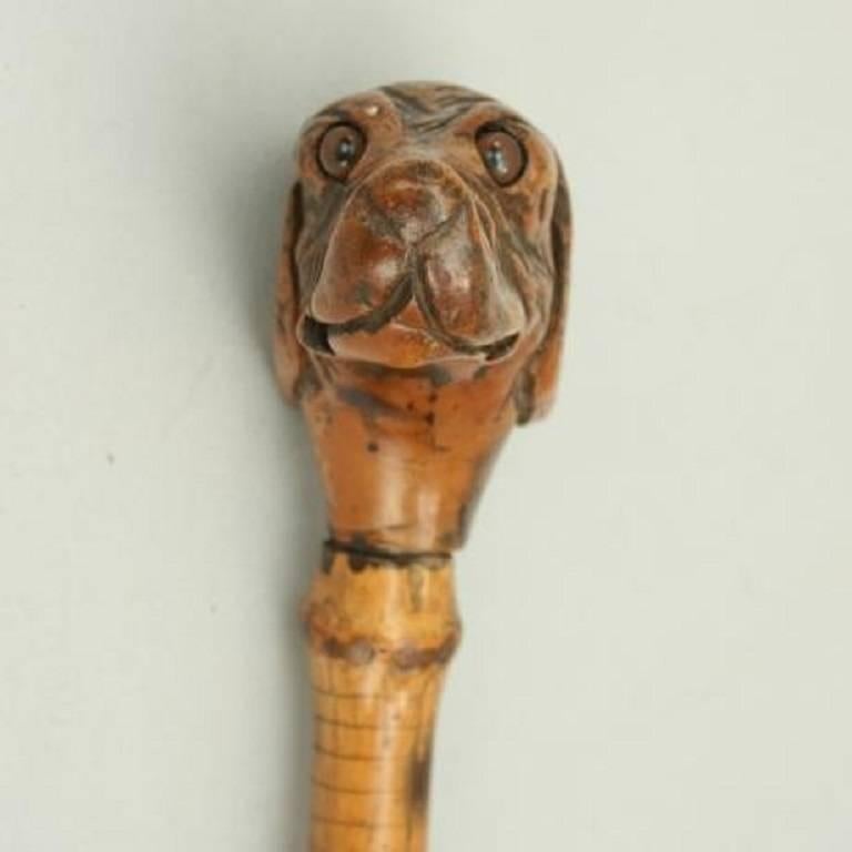 Early 20th Century Antique Walking Stick
