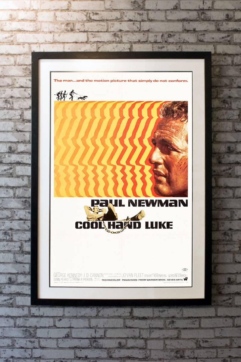Tough as nails, nonconformist Luke Jackson (Paul Newman), is sent to a Florida prison camp, where his troubles really begin. Newman stars alongside the outstanding cast of George Kennedy, Dennis Hopper, and Strother Martin in this gripping tale of