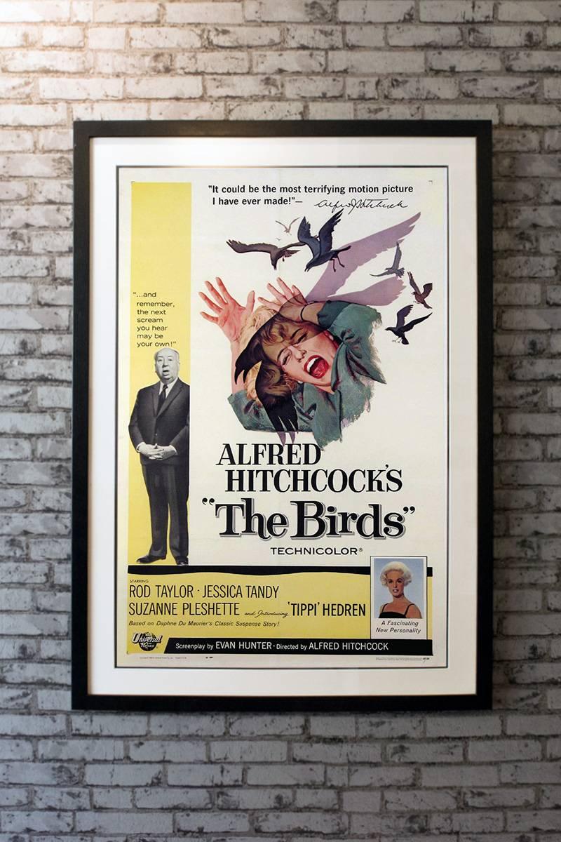 Hitchcock's adaptation of Daphne du Maurier's shocking story has been heralded as a modern classic and is one of the most frightening films ever made. Tippi Hedren made her debut in this thriller. 

Framing Options:
Glass & Single Mount +