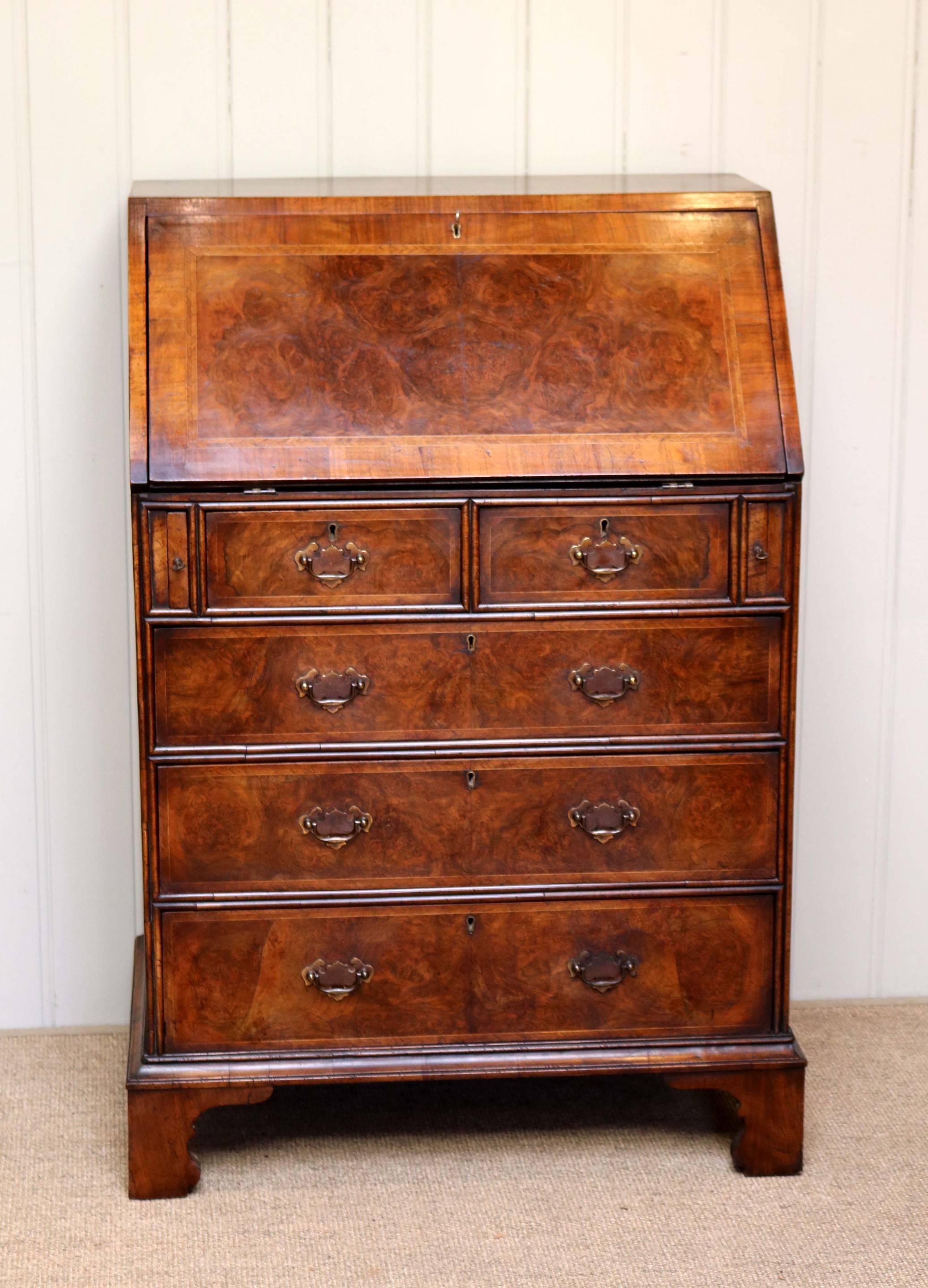 Good quality Georgian style burr walnut bureau having two short over three long graduated drawers with a fall front opening to reveal a fitted interior comprising of pigeonholes ,drawers and a lockable central cupboard with a green leather scriber,