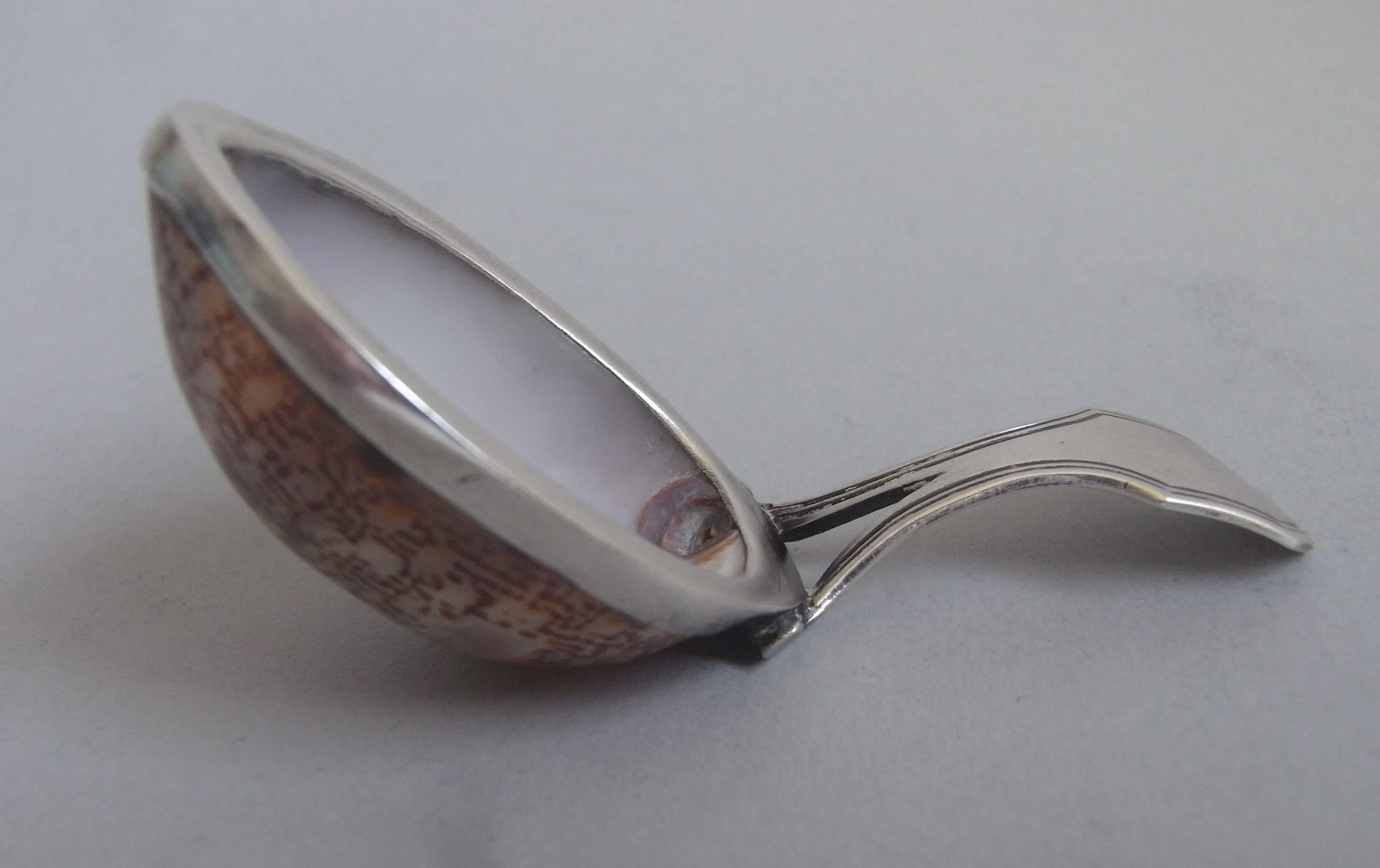 Rare George III Silver Mounted Cowrie Shell Caddy Spoon by Matthew Linwood In Good Condition In London, GB