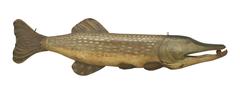 Tin Fish Sign, Pike