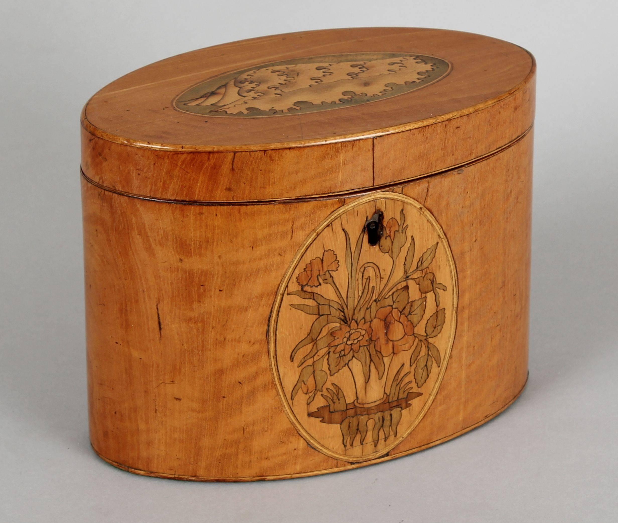 English George III Period Satinwood Oval Tea-Caddy