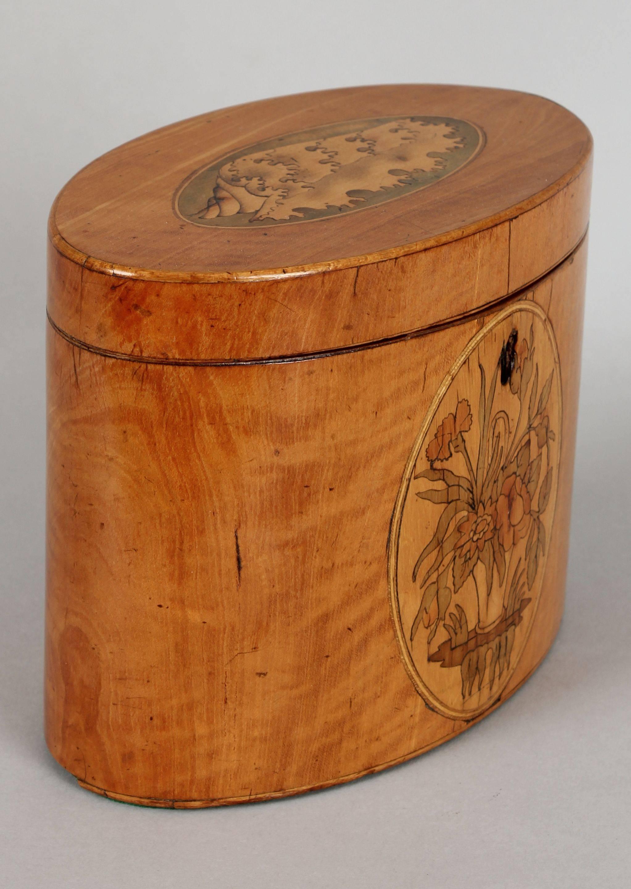 George III Period Satinwood Oval Tea-Caddy In Good Condition In Cambridge, GB