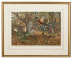 Game Birds by Archibald Thorburn