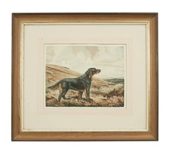 Hunting Dogs, Labrador and Setter