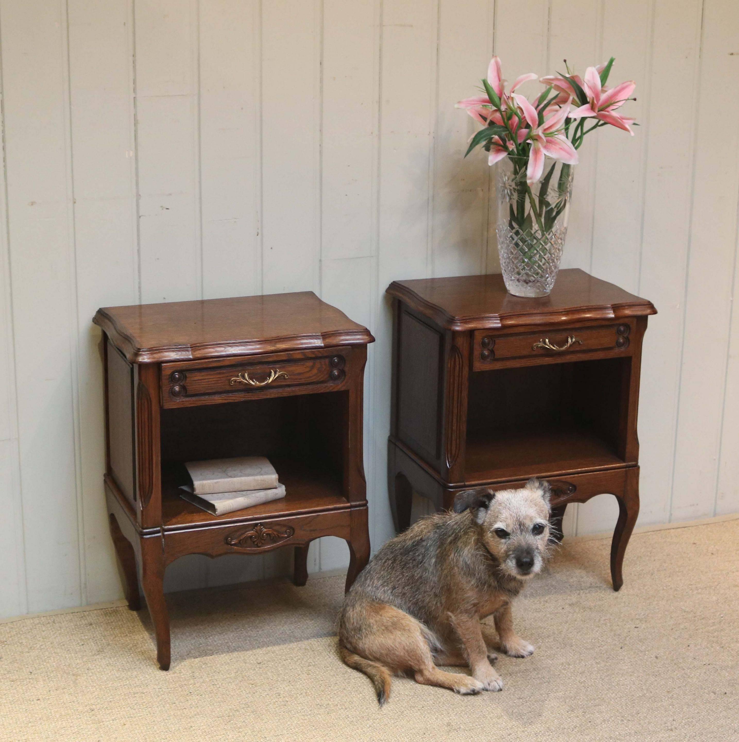 Early 20th Century Pair of Oak Low Bedside Cabinets For Sale