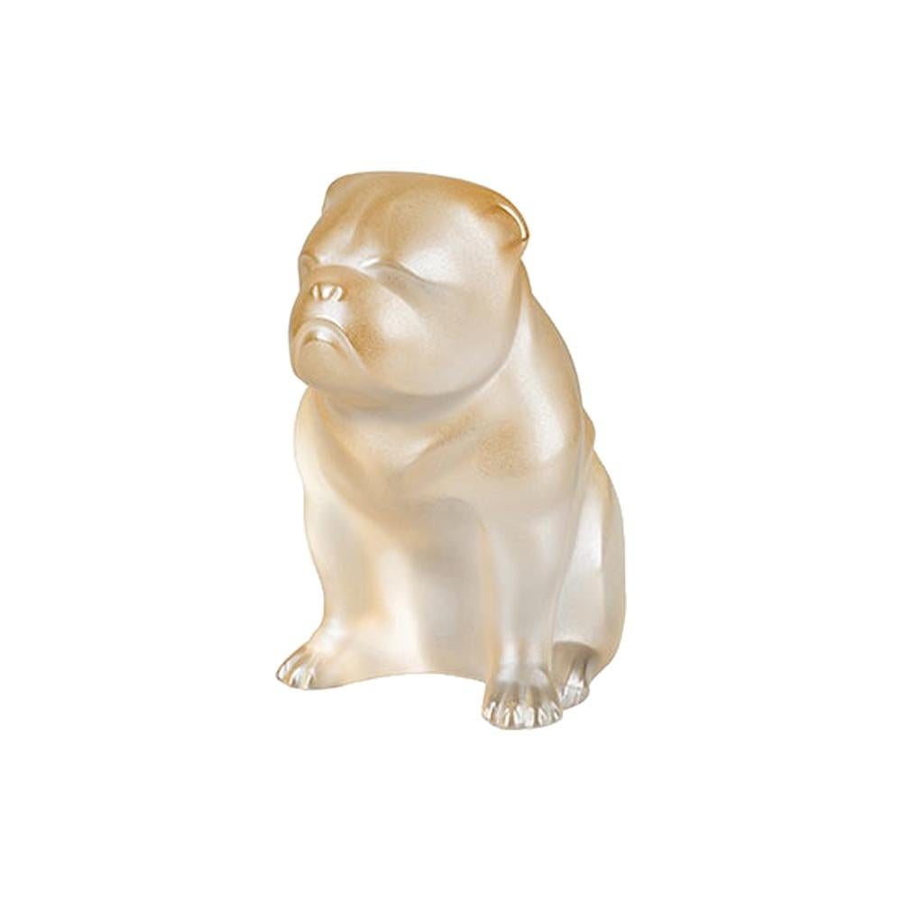 For Sale: Gold (Gold Luster) Bulldog Sculpture in Crystal Glass by Lalique