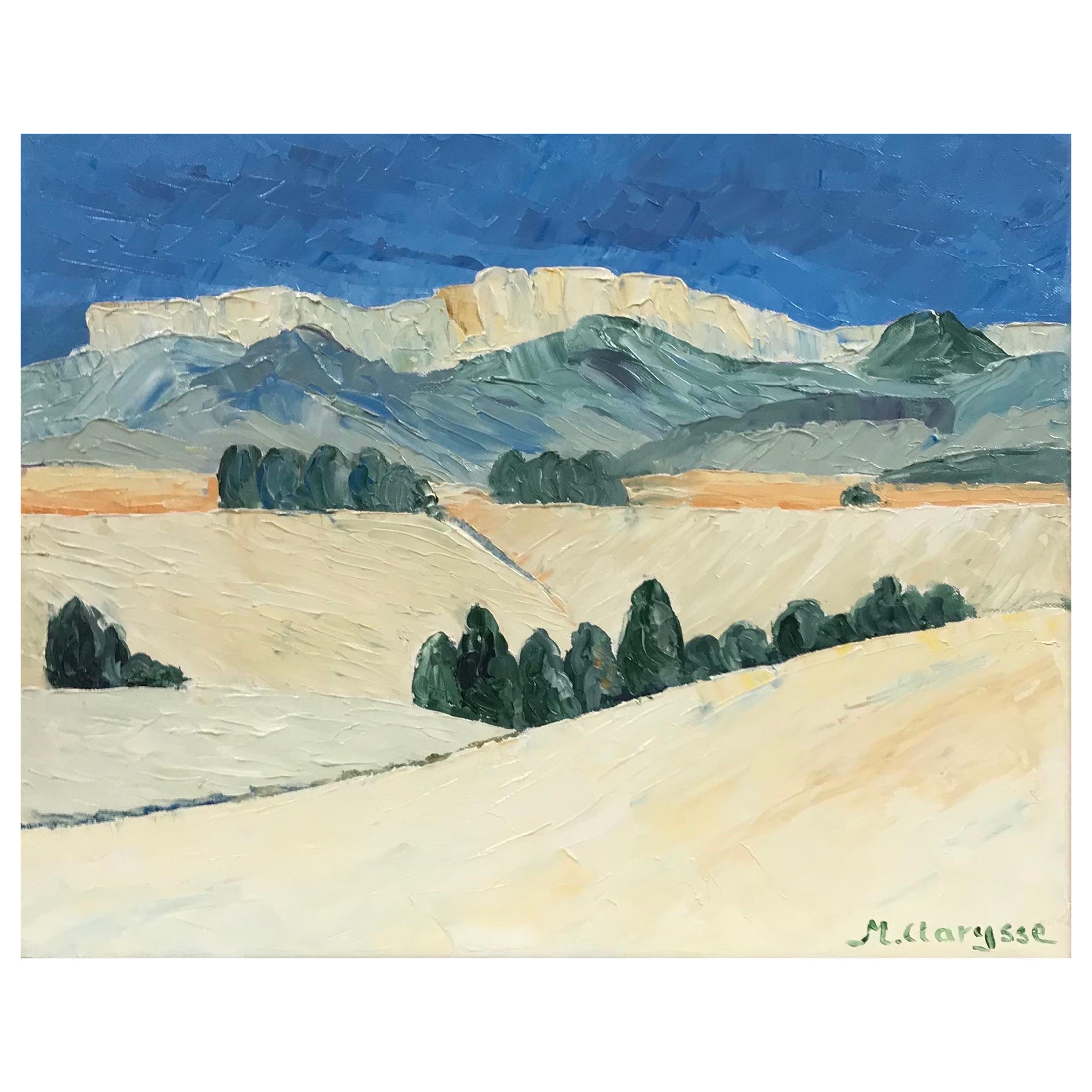 Landscape Painting Maggy Clarysse - Les champs d'hiver en Provence, peinture à l'huile impressionniste