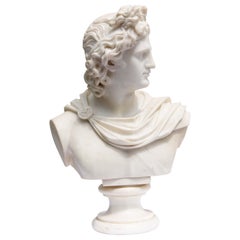 Grand buste ancien en marbre d'Apollon de Belvédère 19ème siècle