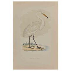 Weißer Heron im Original-Holzschnitt - 1870
