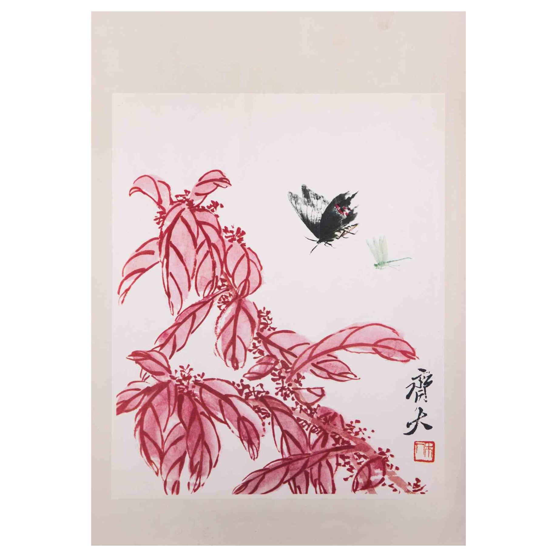 Unknown Figurative Print - Floral Plants - Vintage Phototype Print on Paper -Mid-20th Century