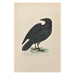 Raven - Woodcut Print by Alexander Francis Lydon  - 1870
