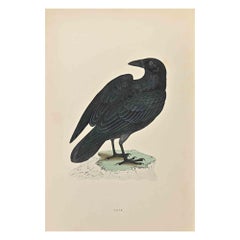 Raven - Holzschnittdruck von Alexander Francis Lydon - 1870