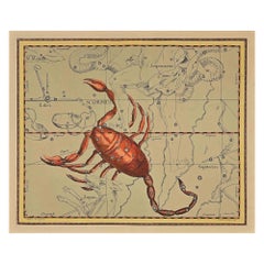 Scorpion - Etching by Charles De la Haye - 18th Century