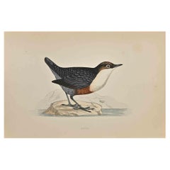 Antique Dipper - Woodcut Print by Alexander Francis Lydon  - 1870