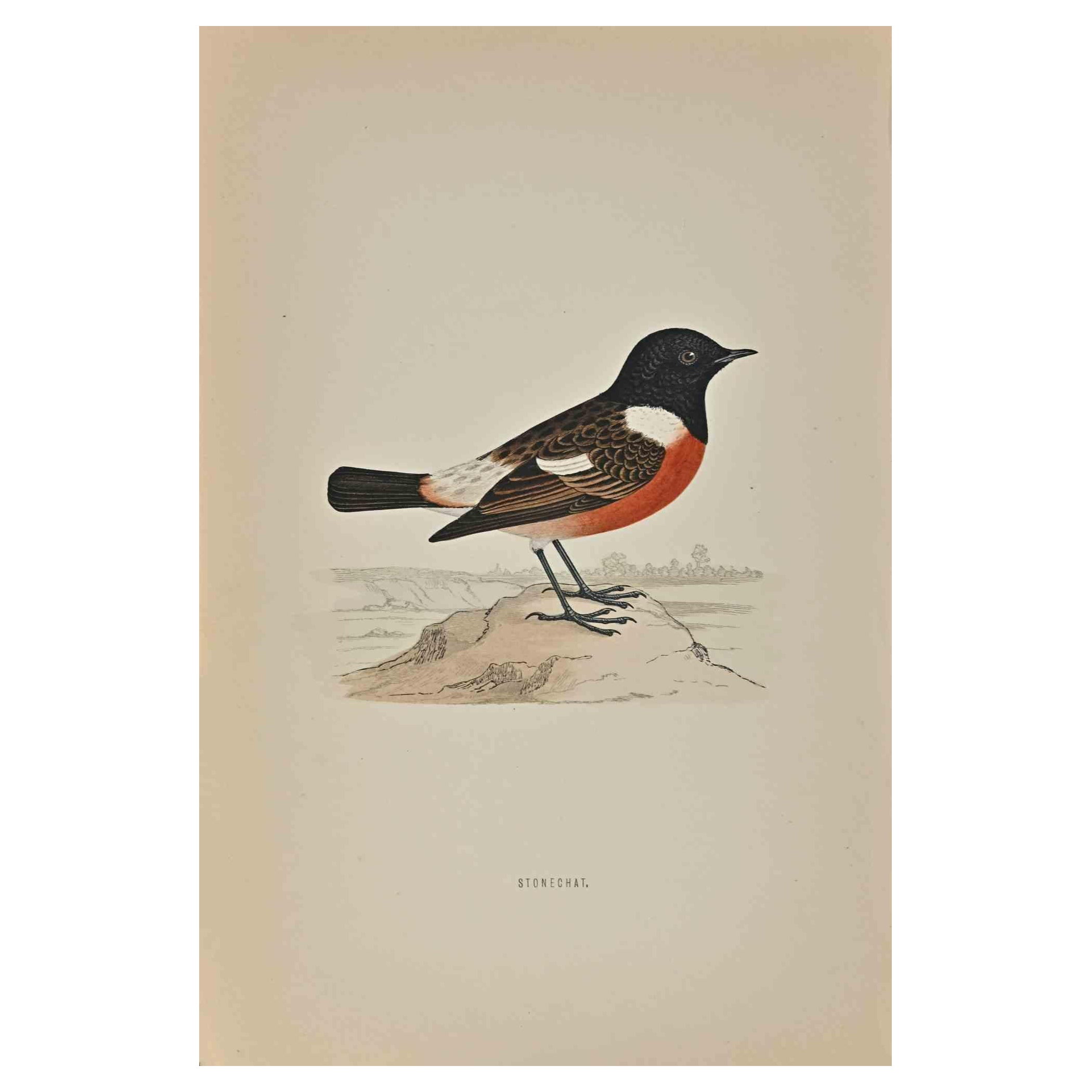 Stonechat is a modern artwork realized in 1870 by the British artist Alexander Francis Lydon (1836-1917) . 

Woodcut print, hand colored, published by London, Bell & Sons, 1870.  Name of the bird printed in plate. This work is part of a print suite
