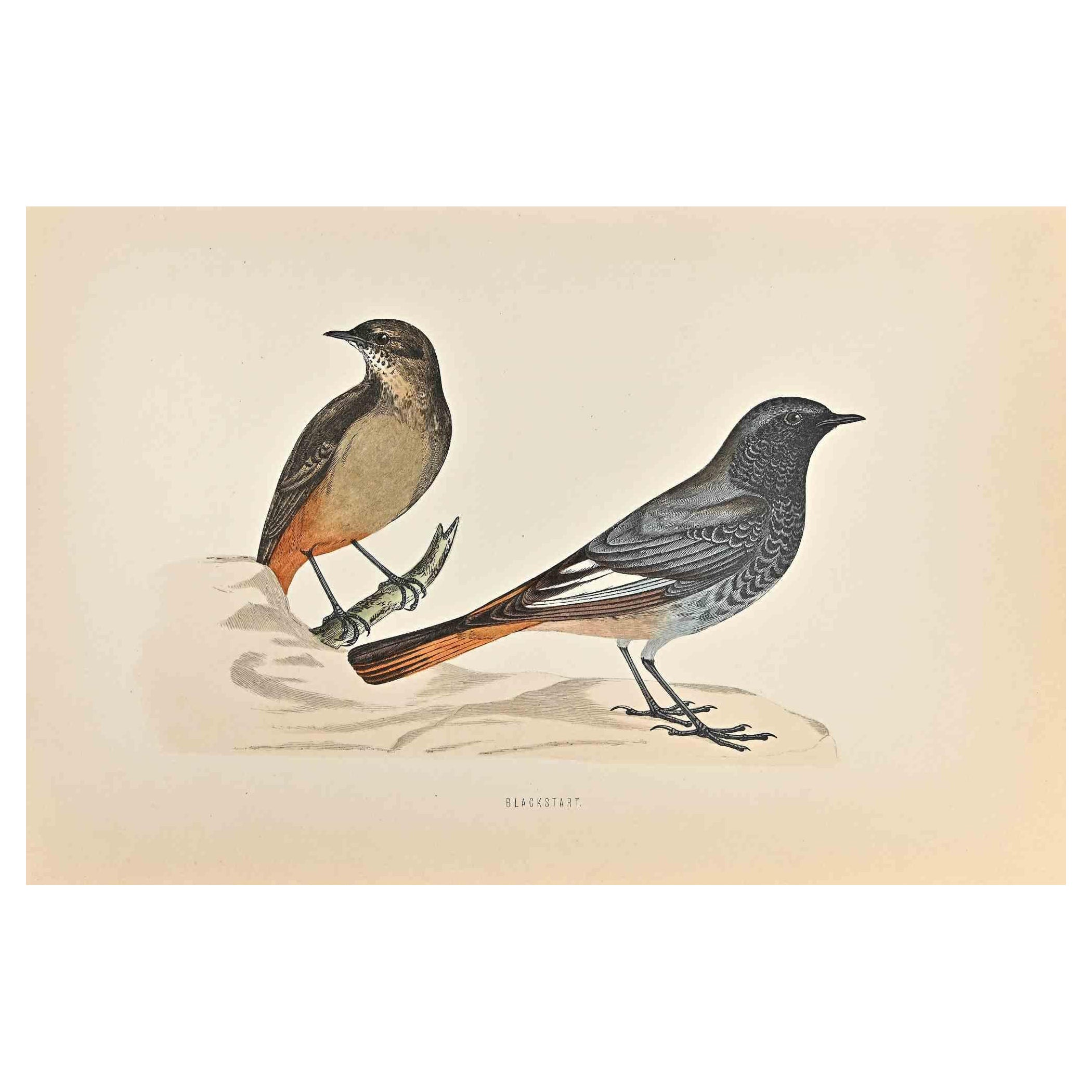 francis bell artist