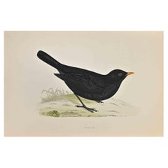 Schwarzer Vogel – Holzschnitt von Alexander Francis Lydon  - 1870