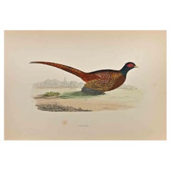 Antique Pheasant	 - Woodcut Print by Alexander Francis Lydon  - 1870