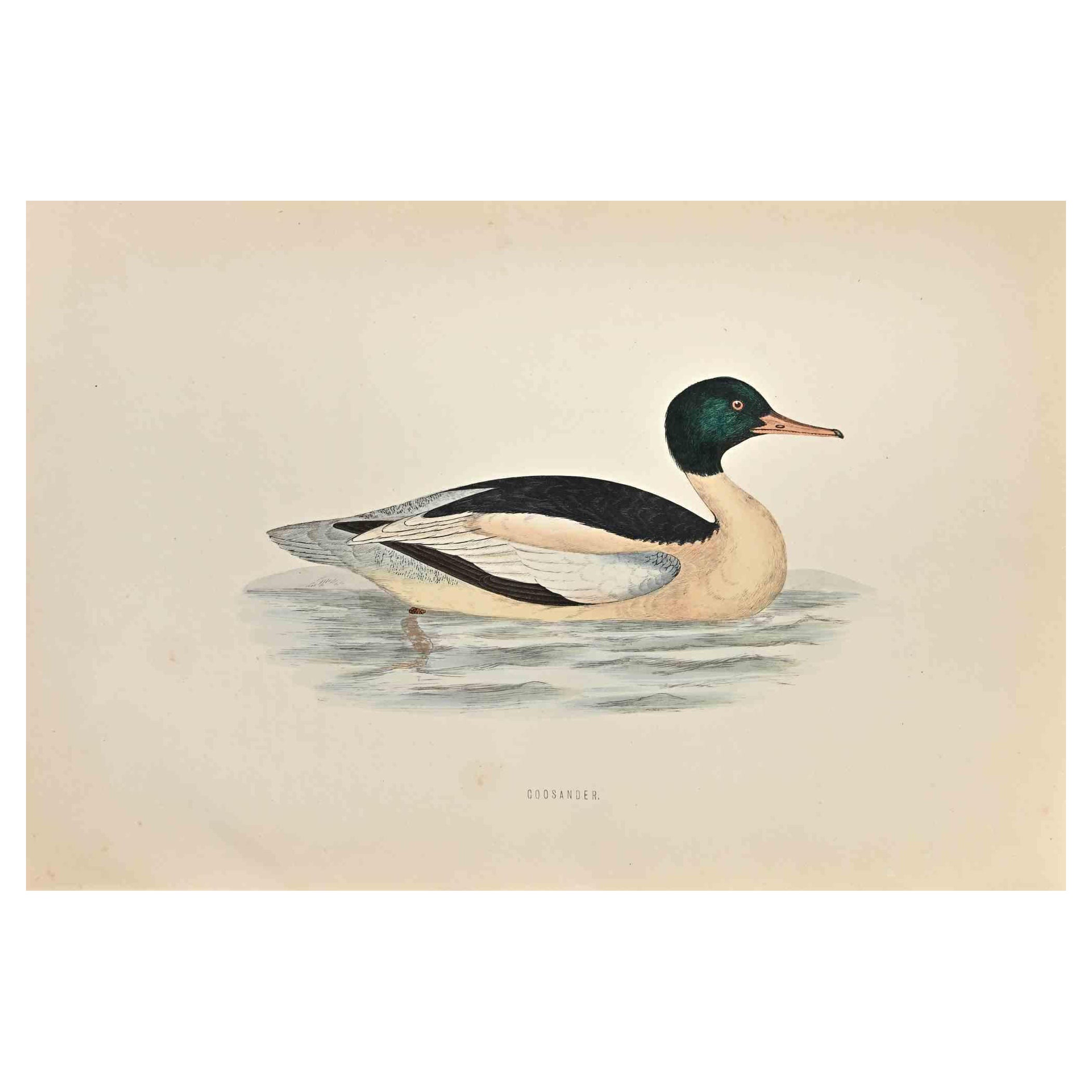 Goosander è un'opera d'arte moderna realizzata nel 1870 dall'artista britannico Alexander Francis Lydon (1836-1917). 

Stampa xilografica, colorata a mano, pubblicata da London, Bell & Sons, 1870.  Nome dell'uccello stampato sulla targhetta.