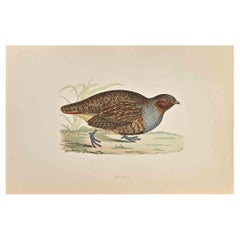 Patridge - Impression sur bois d'Alexander Francis Lydon  - 1870