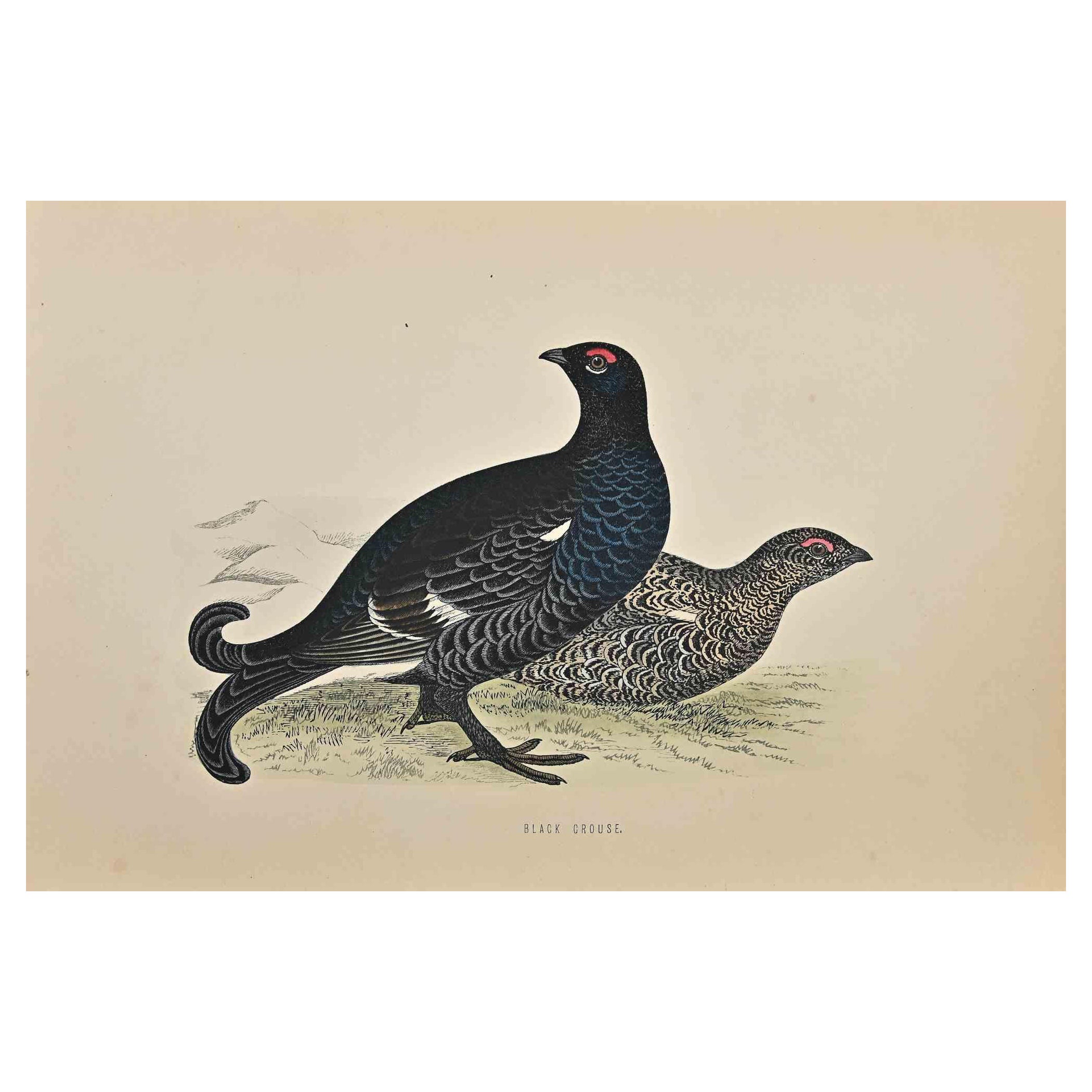  Black Grouse is a modern artwork realized in 1870 by the British artist Alexander Francis Lydon (1836-1917) . 

Woodcut print, hand colored, published by London, Bell & Sons, 1870.  Name of the bird printed in plate. This work is part of a print