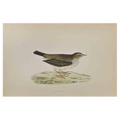 Meadow Pipit - Woodcut Print by Alexander Francis Lydon  - 1870
