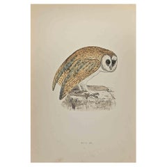 Antique White Owl - Woodcut Print by Alexander Francis Lydon  - 1870