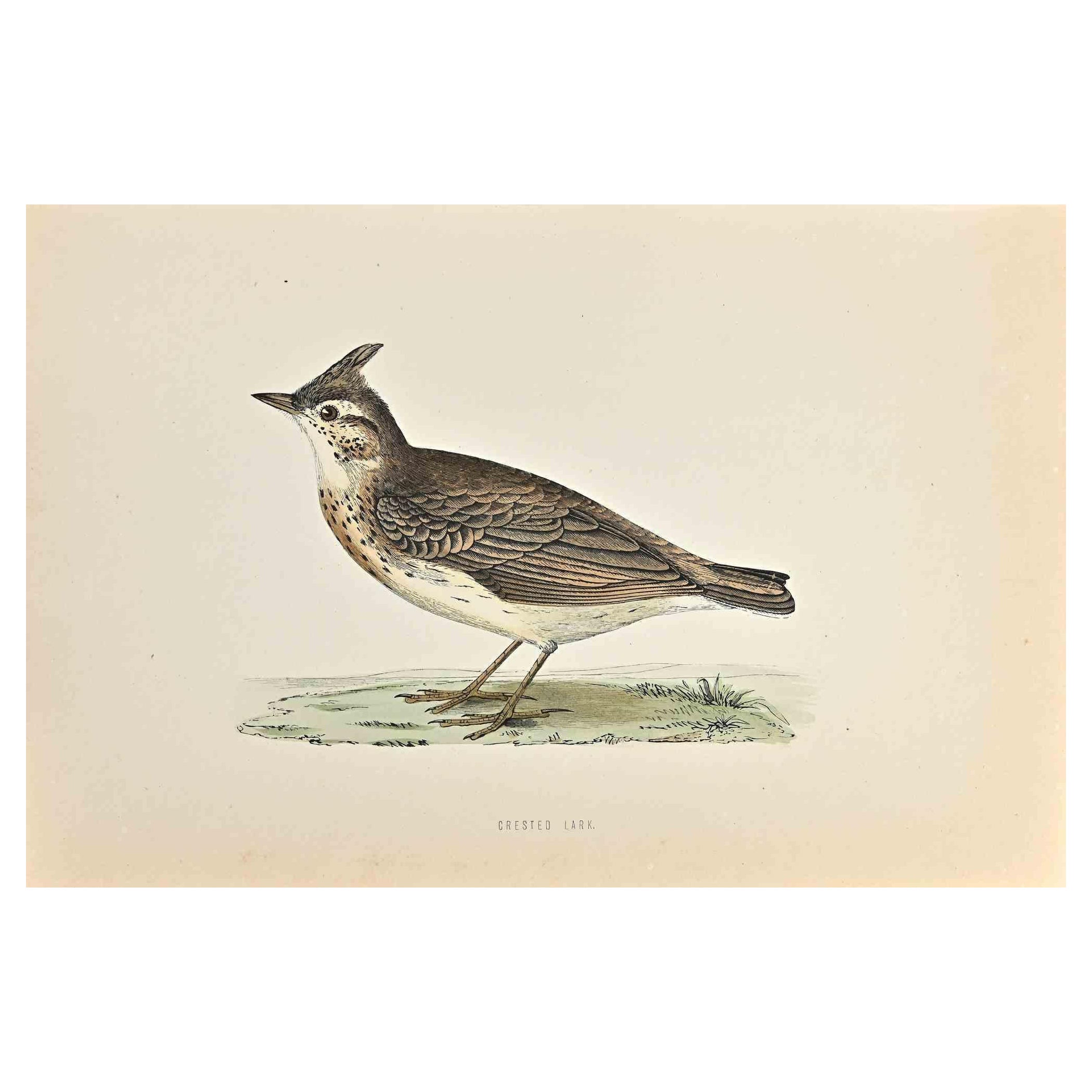 L'alouette huppée est une œuvre d'art moderne réalisée en 1870 par l'artiste britannique Alexander Francis Lydon (1836-1917) . 

Gravure sur bois, colorée à la main, publiée par London, Bell & Sons, 1870.  Nom de l'oiseau imprimé dans la plaque.