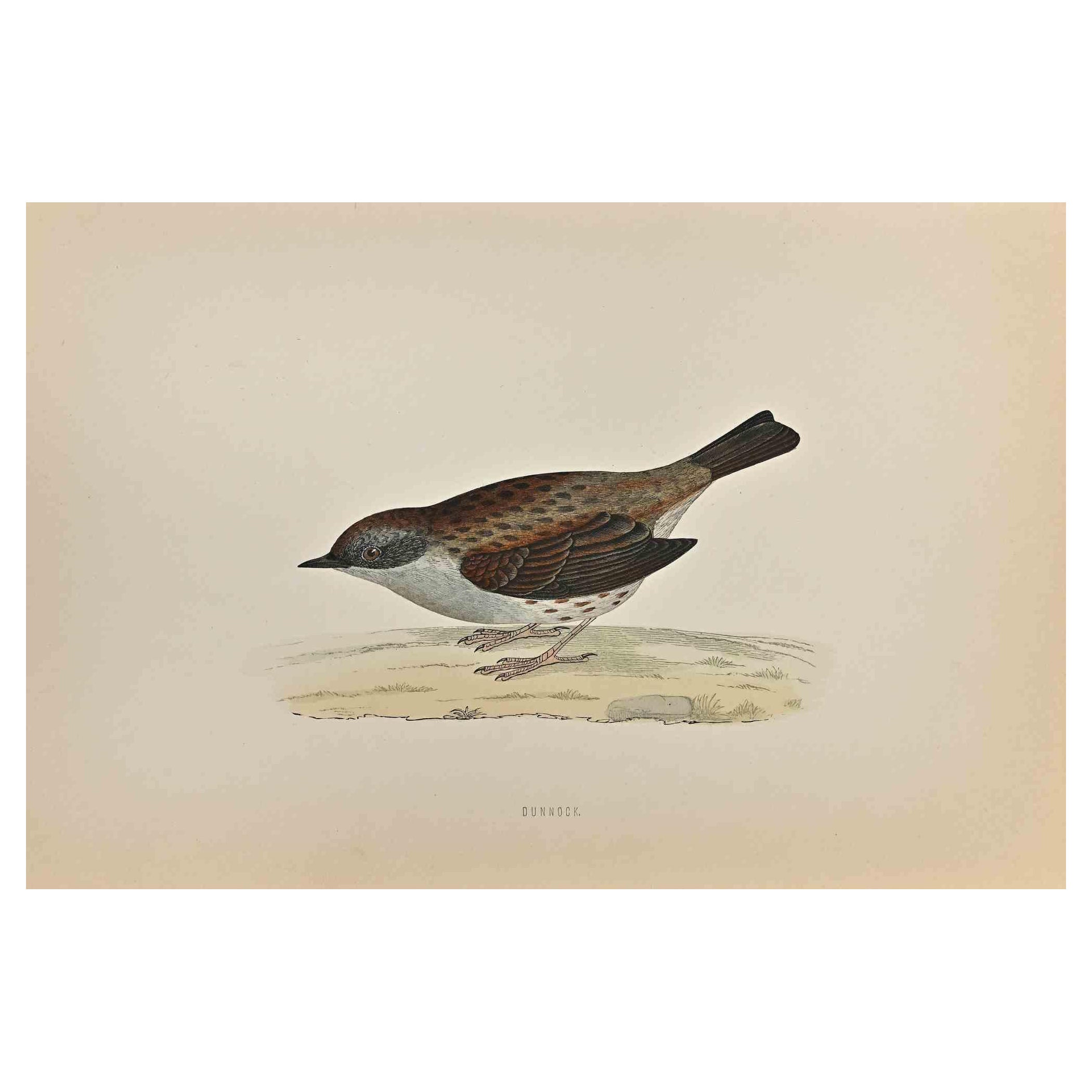 dunnock chandelier