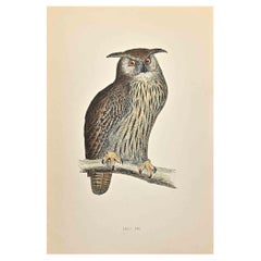 Antique Eagle Owl - Woodcut Print by Alexander Francis Lydon  - 1870